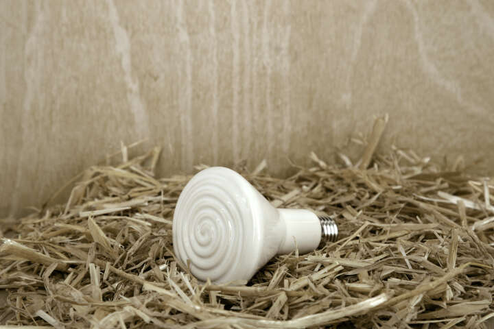 KERBL Keramik-Dunkelstrahler 250 W